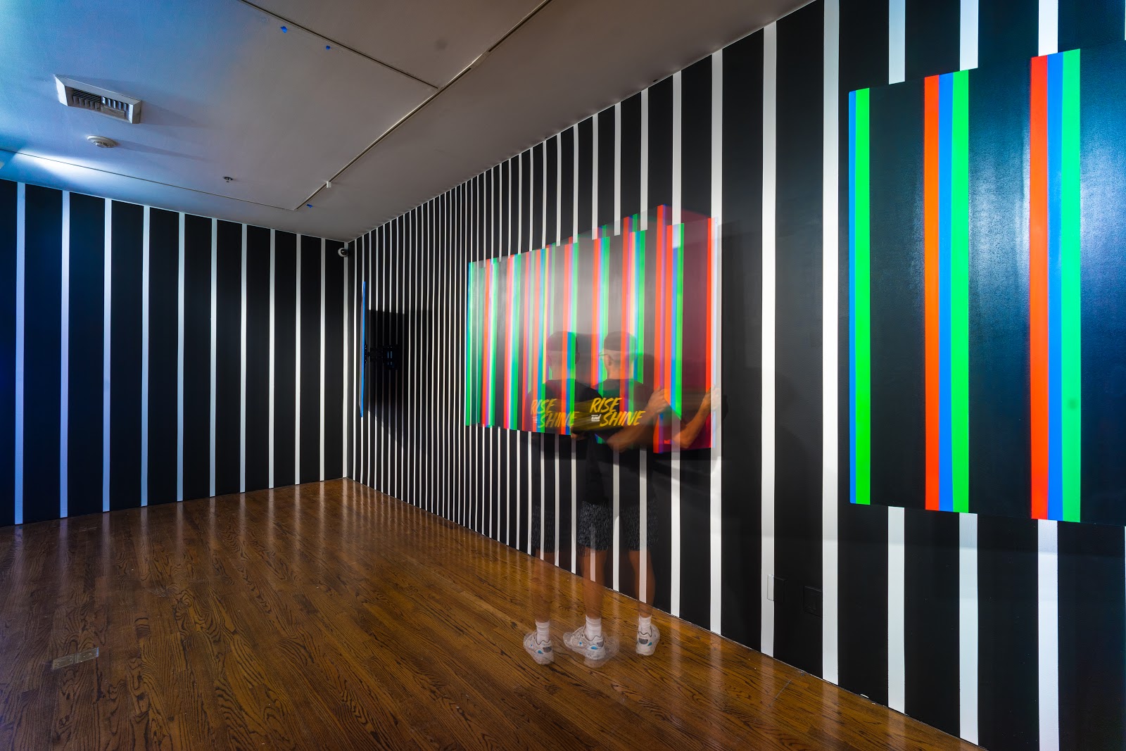 Vitality and Verve: In the Third Dimension — vista de sala (02.jpg)