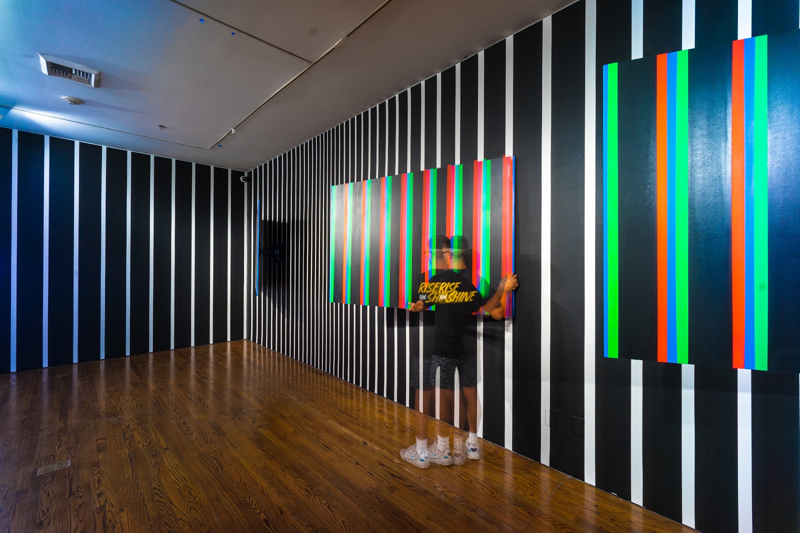 Vitality and Verve: In the Third Dimension — vista de sala (03.jpg)