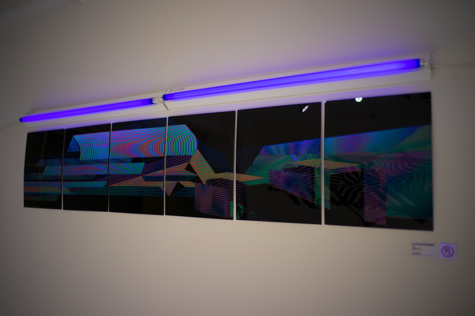 Perpetuum Mobile — vista de sala (perpetuum-mobile-2014-07.jpg)