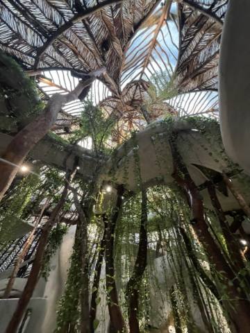 Tulum, 2021