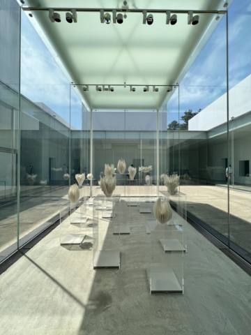 Kanazawa 21st Century Museum of Contemporary Art, 2022