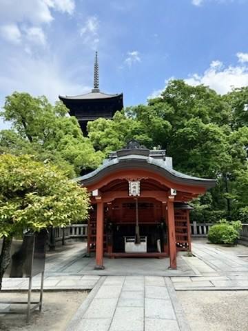 To-ji Temple, 2022