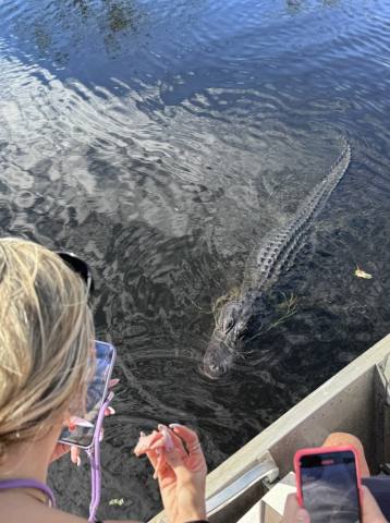 Everglades National Park, 2023