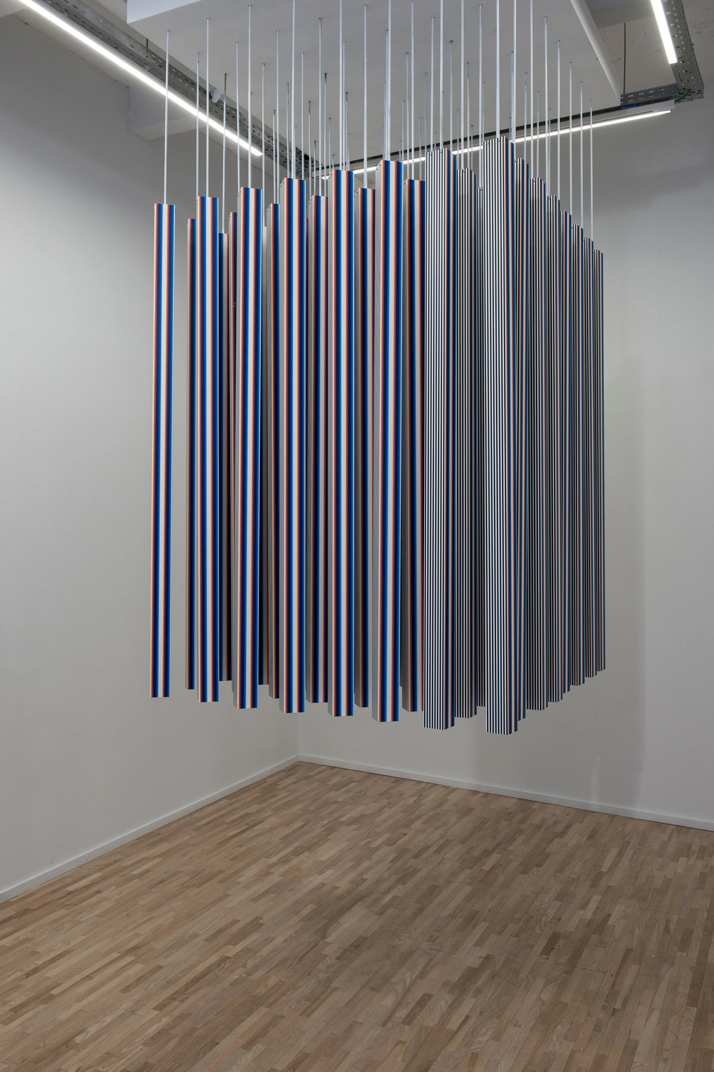 Interference Pattern Programmed Motion Sequence — foto 1