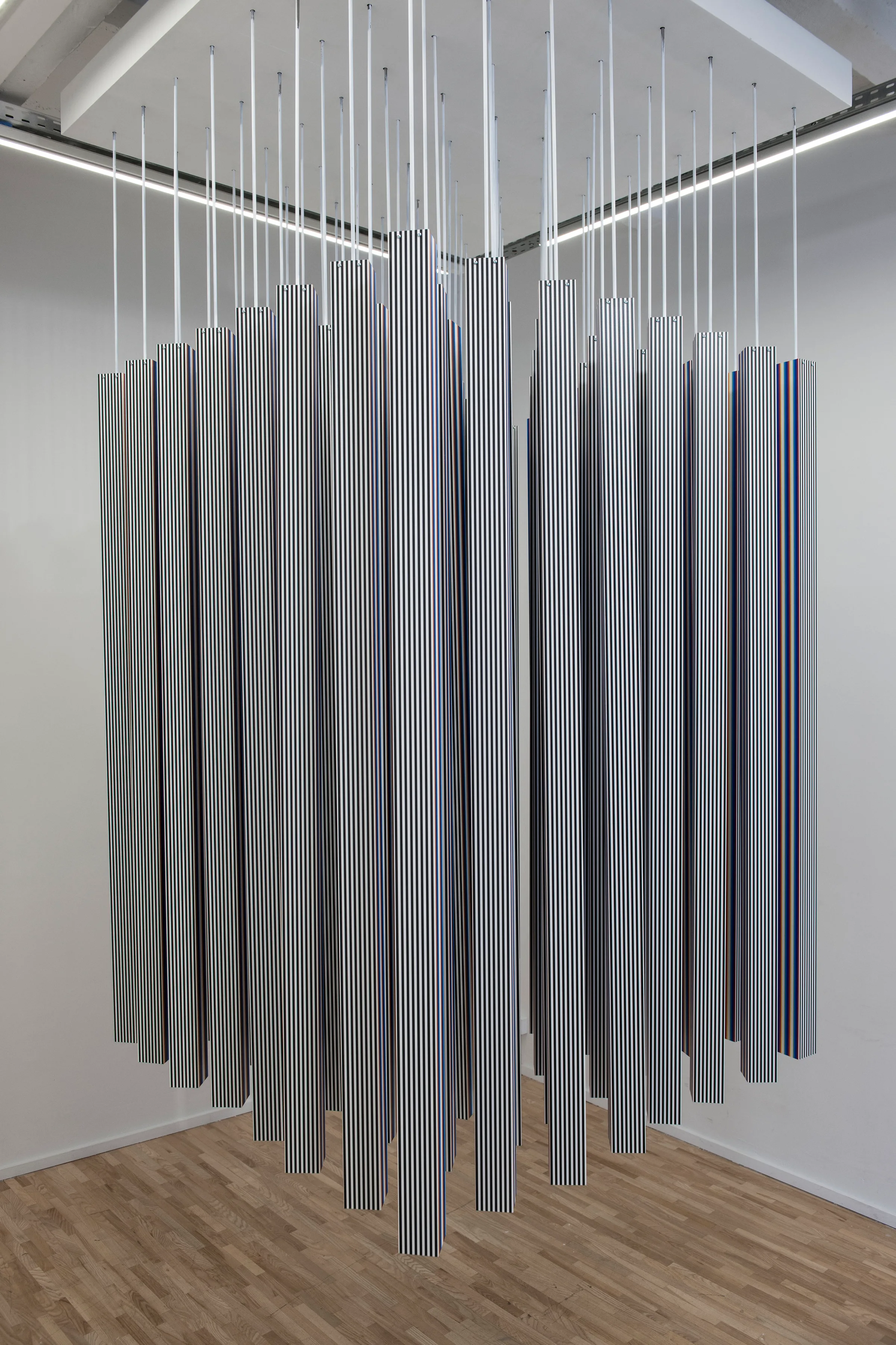 Interference Pattern Programmed Motion Sequence — foto 2
