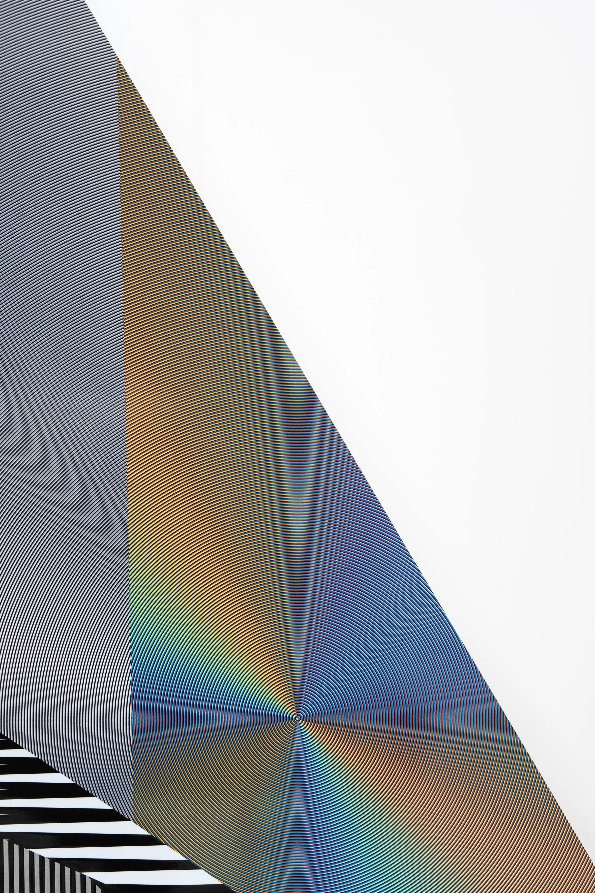Optichromie Dimensional — foto 8
