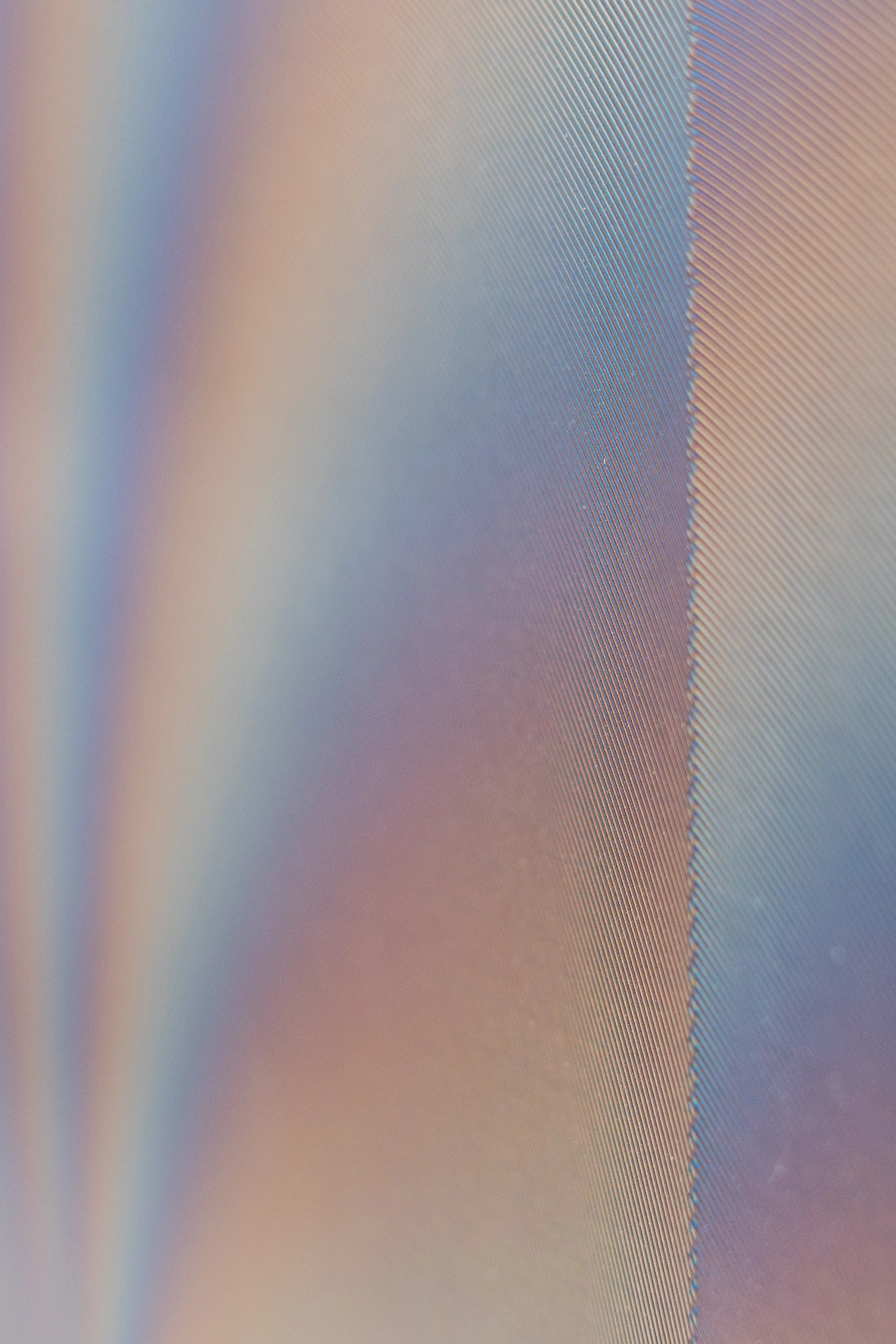 Planned Iridescence 42 — foto 3